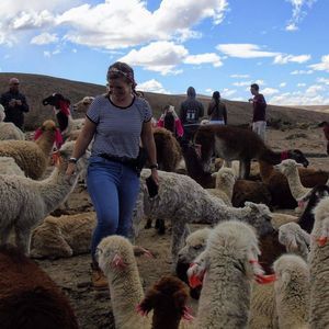 Meet your Posher, Mira